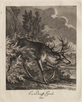 KG 01075
          <br/>
          Entwurf einiger Thiere. Dritter Theil. (18 bladen)
          <br/>
          <em>Ridinger, Johann Elias (1698-1767)</em>